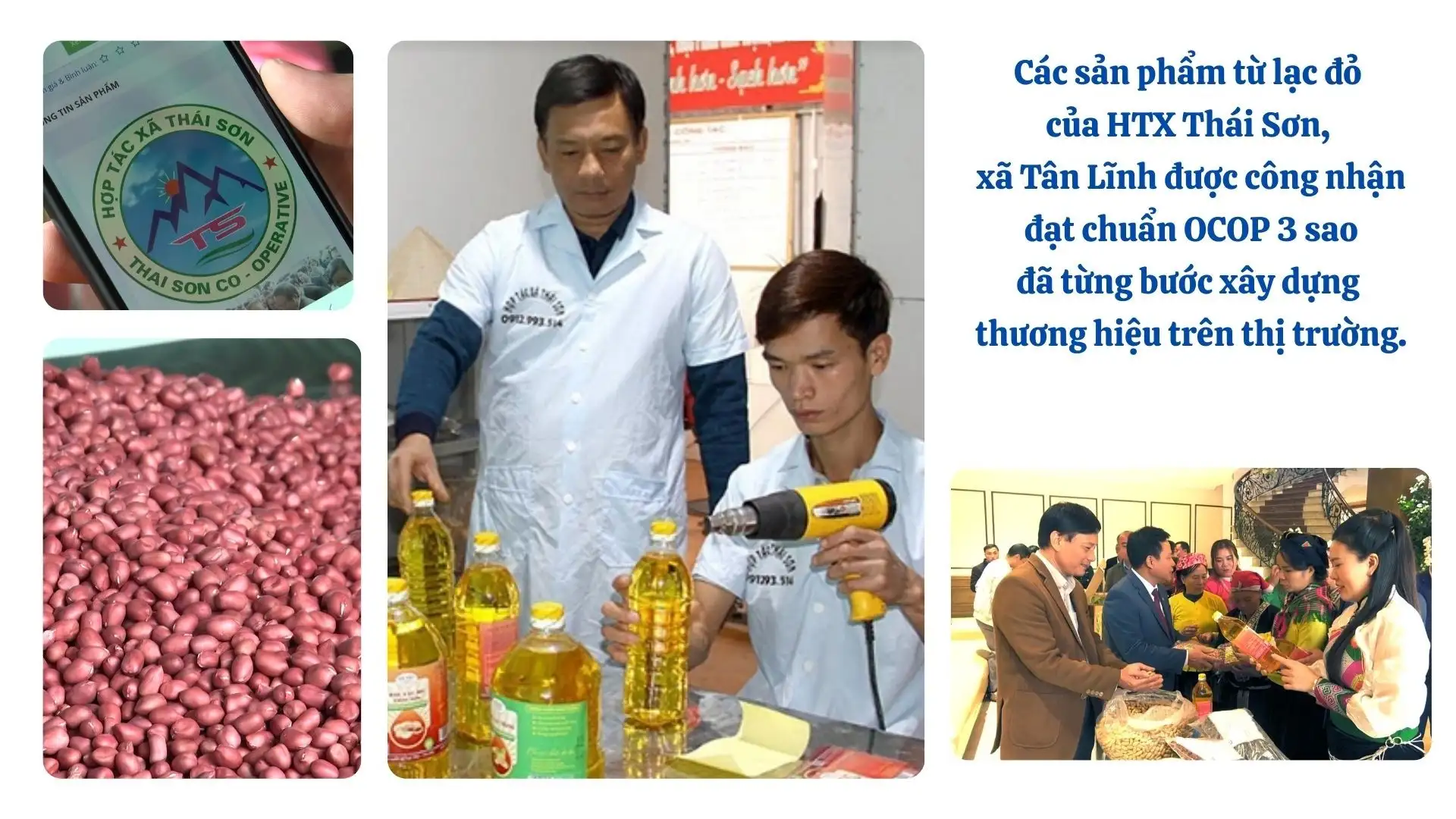 Nâng tầm Hợp tác xã trong liên kết chuỗi giá trị