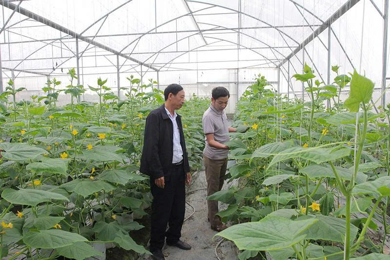 Nền móng để nông sản tham gia sâu hơn vào chuỗi giá trị toàn cầu