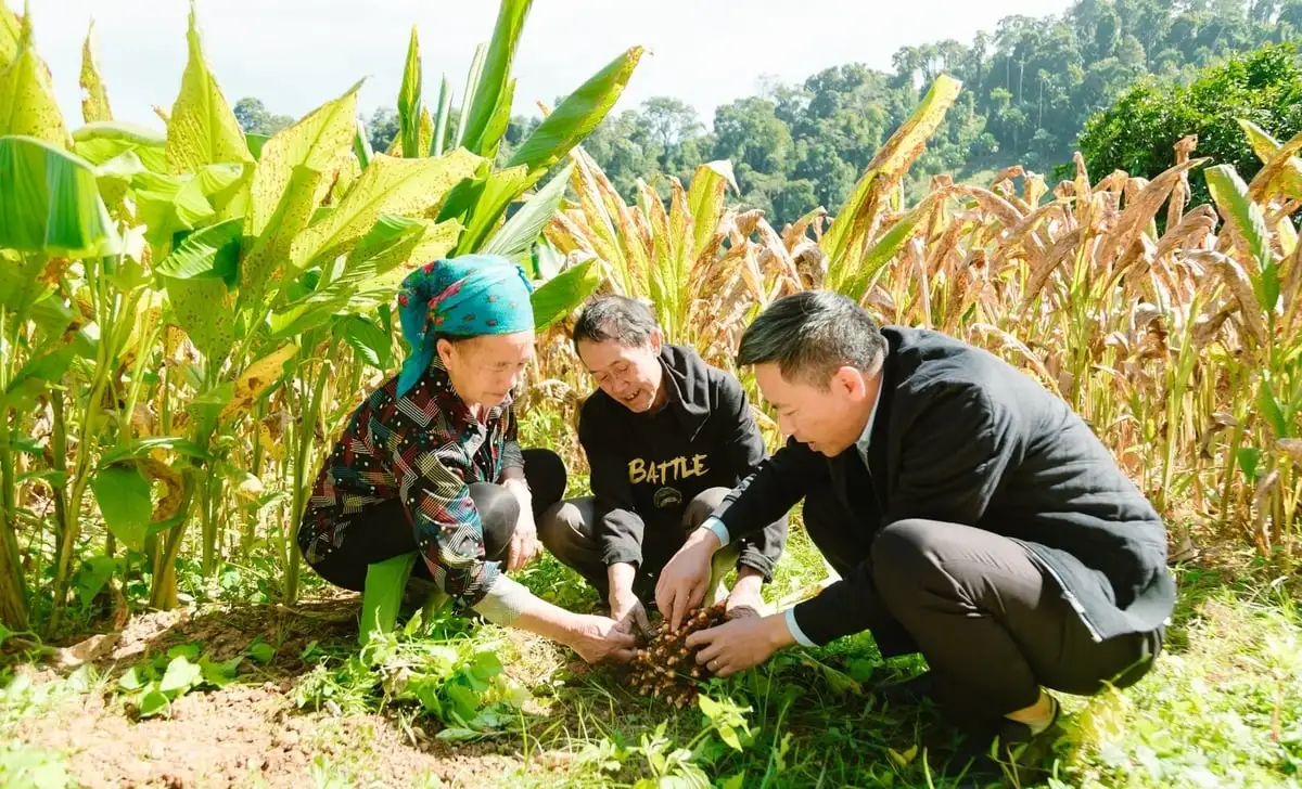 Nghệ An đặt mục tiêu 65% số xã đạt chuẩn nông thôn mới vào năm 2030