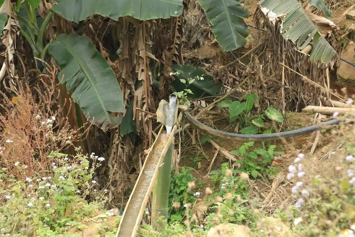 Nghịch lý ở ‘rốn nghèo’ vùng cao