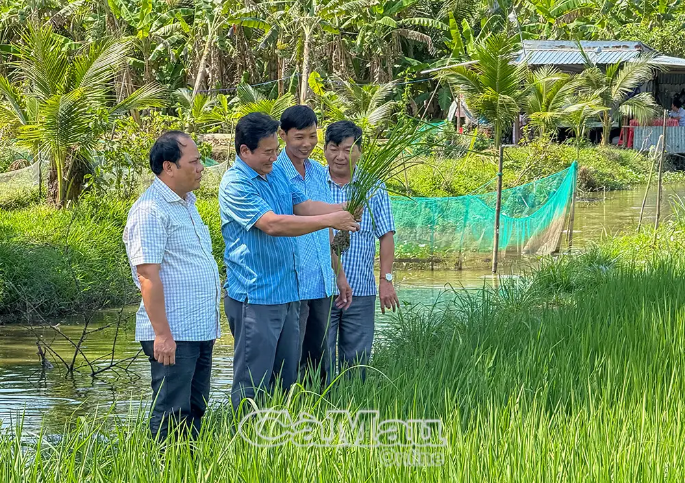 “Ngọn cờ đầu” trên mặt trận kinh tế