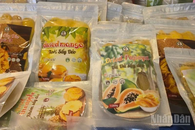 Người phụ nữ xứ Nghệ với hành trình đánh thức “hồn quê” từ món chả dam OCOP