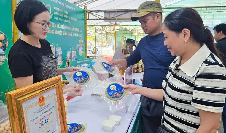 Người phụ nữ xứ Nghệ với hành trình đánh thức “hồn quê” từ món chả dam OCOP