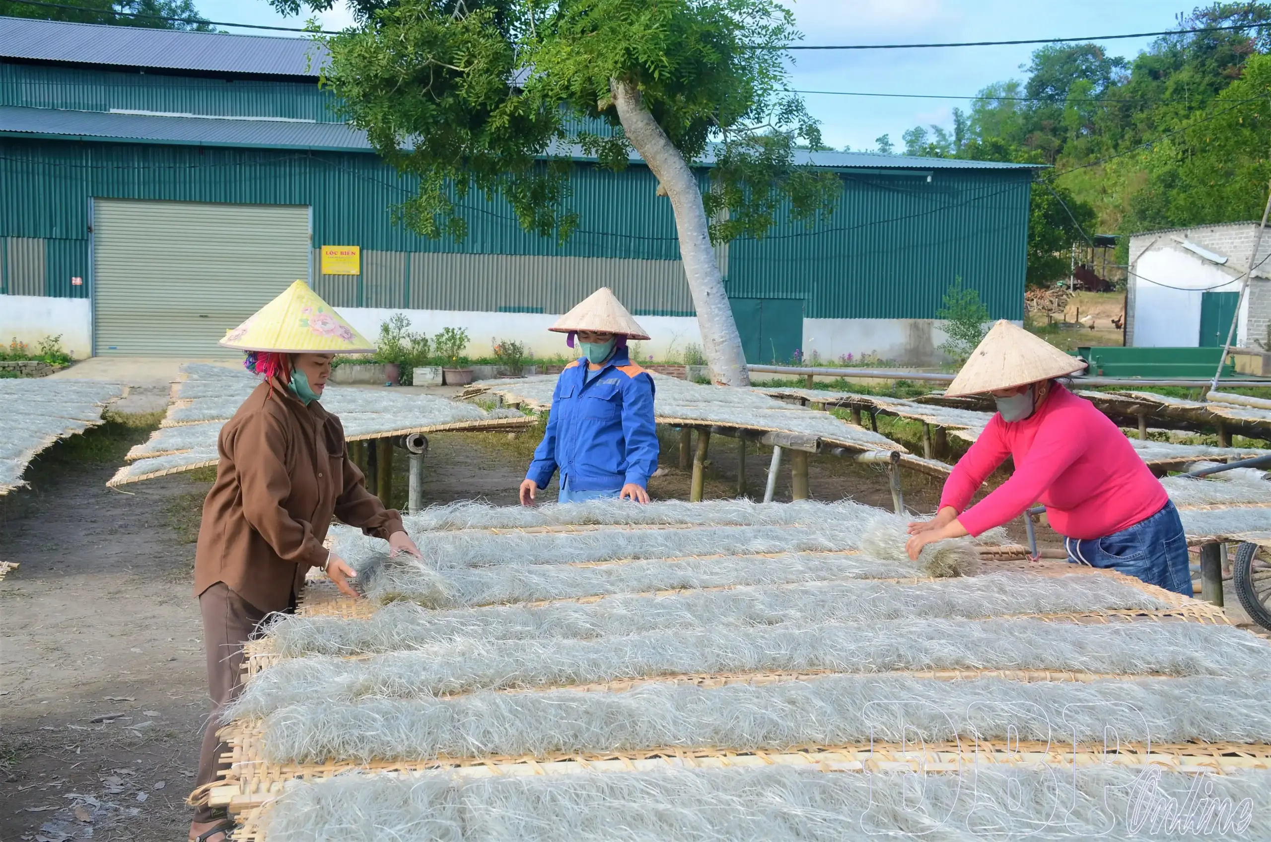 Nhiều sản phẩm OCOP hết hạn, chậm tái chứng nhận