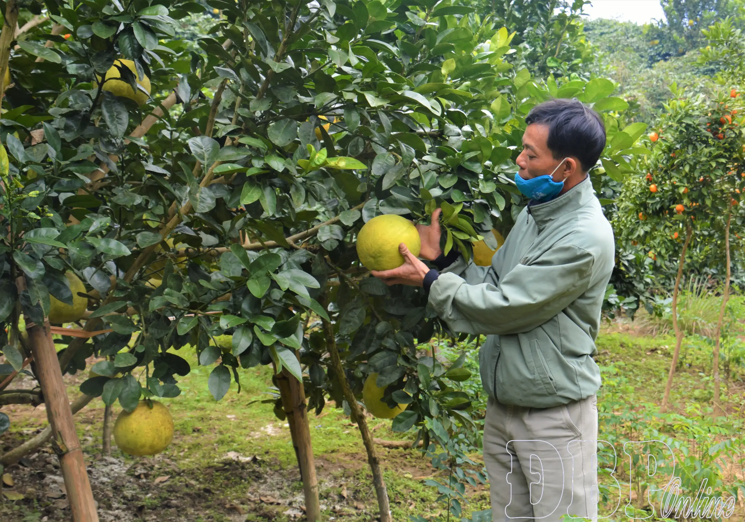 Nhiều sản phẩm OCOP hết hạn, chậm tái chứng nhận