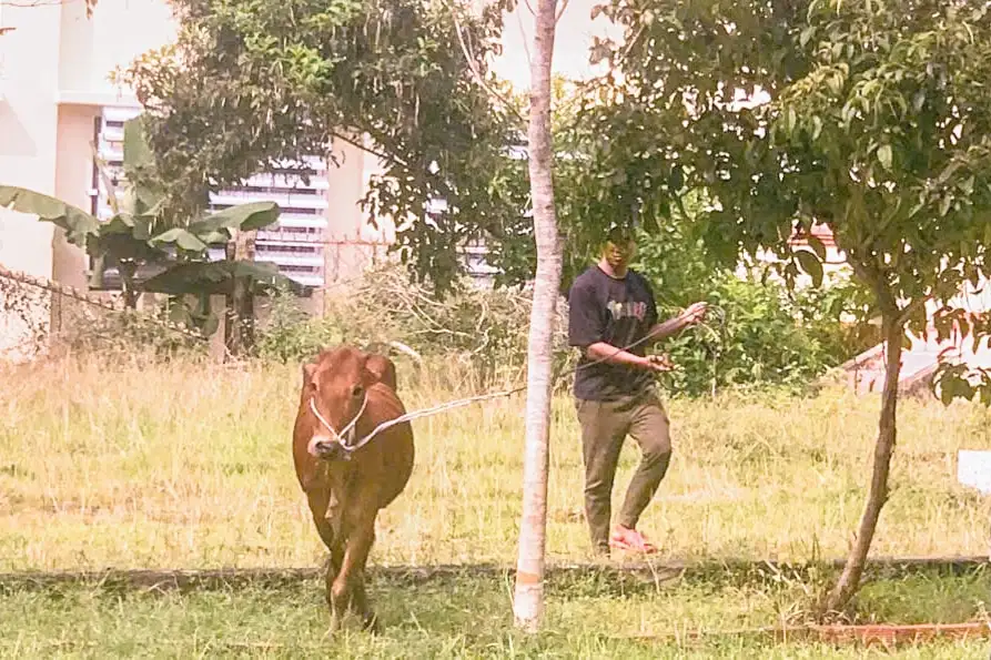 Những đổi thay từ sinh kế và hạ tầng ở xã miền núi Hàm Thạnh