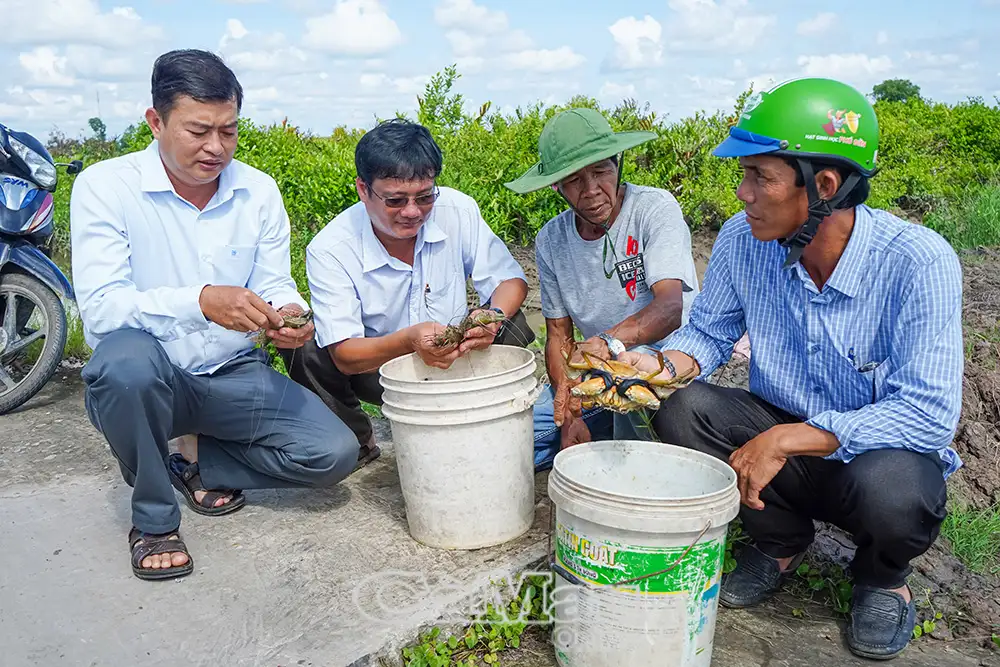 Những người “giữ lửa” nông thôn mới