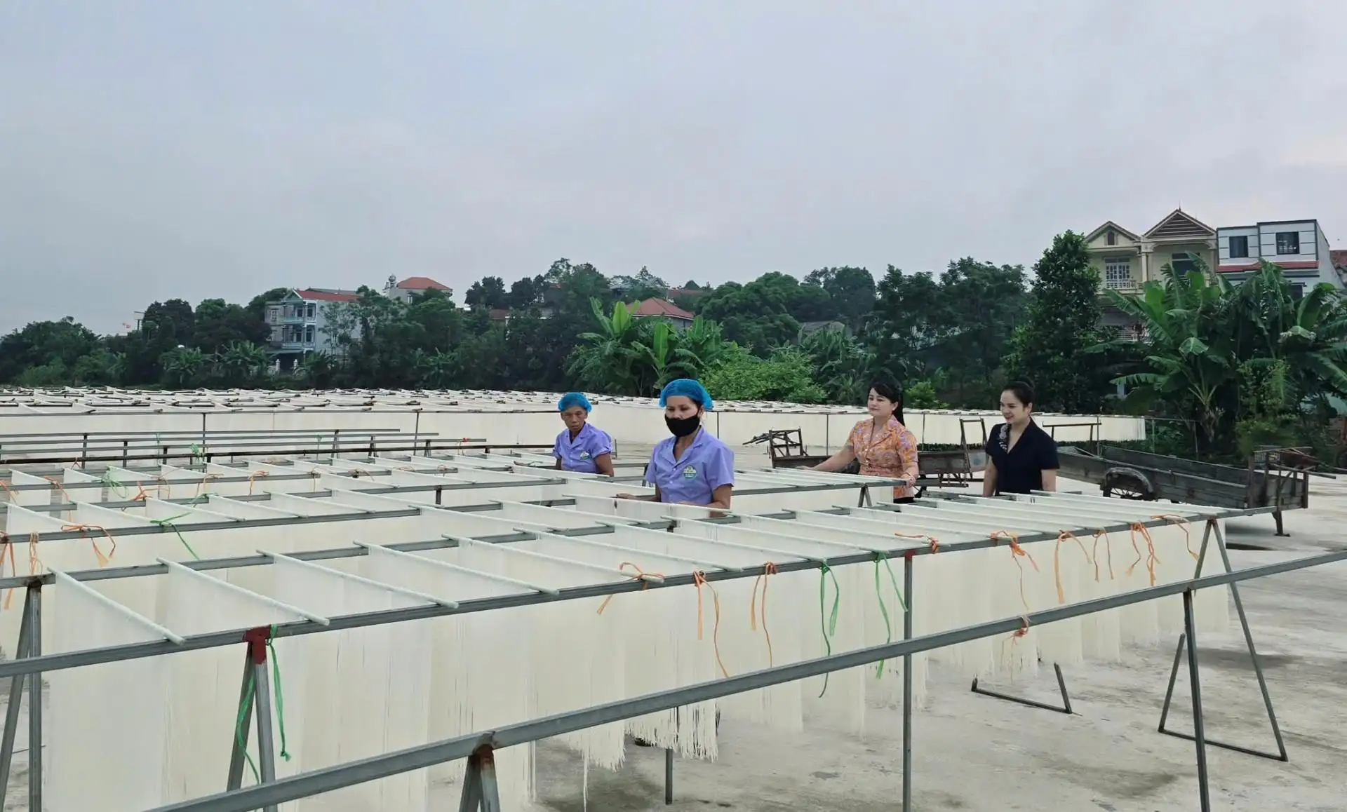 Những người thức giấc khi “bình minh chưa lên”, mang mì gạo ra thế giới