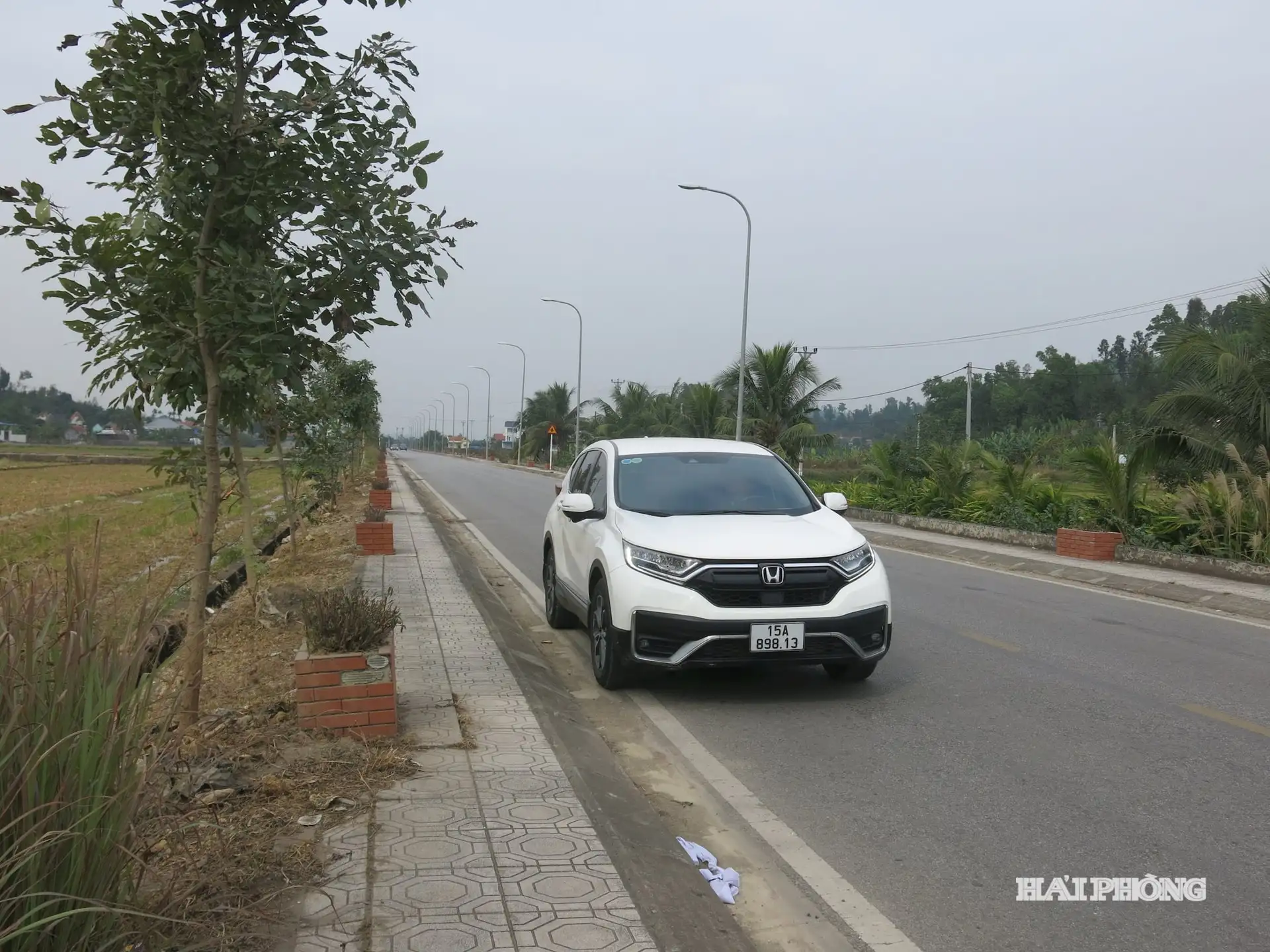 Nông dân vun xanh đường làng, làm giàu bền vững