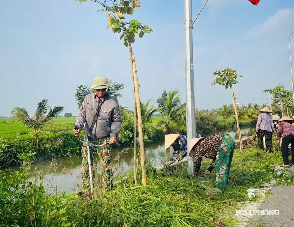 Nông dân vun xanh đường làng, làm giàu bền vững