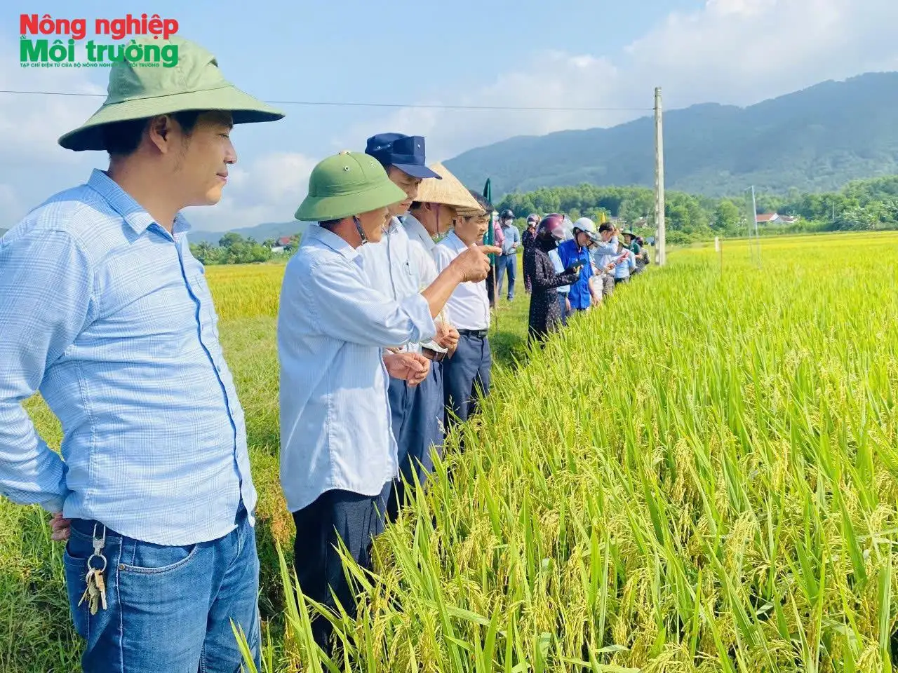 Nông nghiệp Nghệ An thích ứng trước biến động, giữ vững đà tăng trưởng