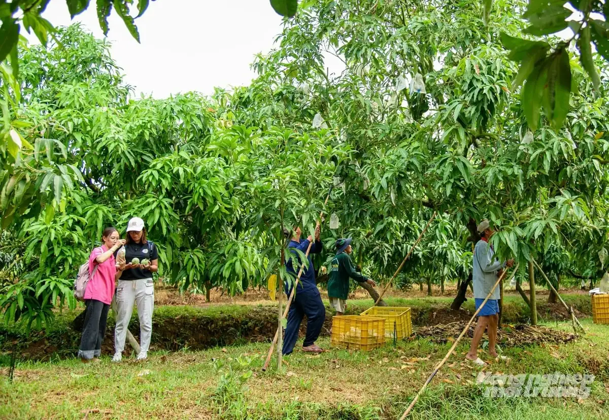Nông nghiệp sinh thái mở đường tăng trưởng xanh