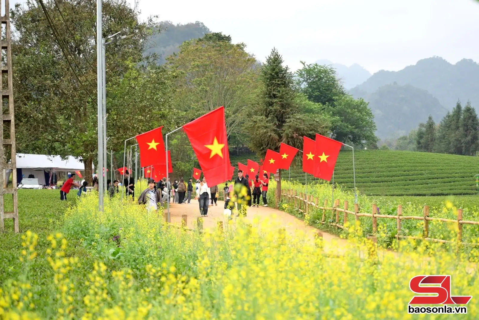 Nông nghiệp xanh gắn với du lịch dưới chân đèo Pha Đin