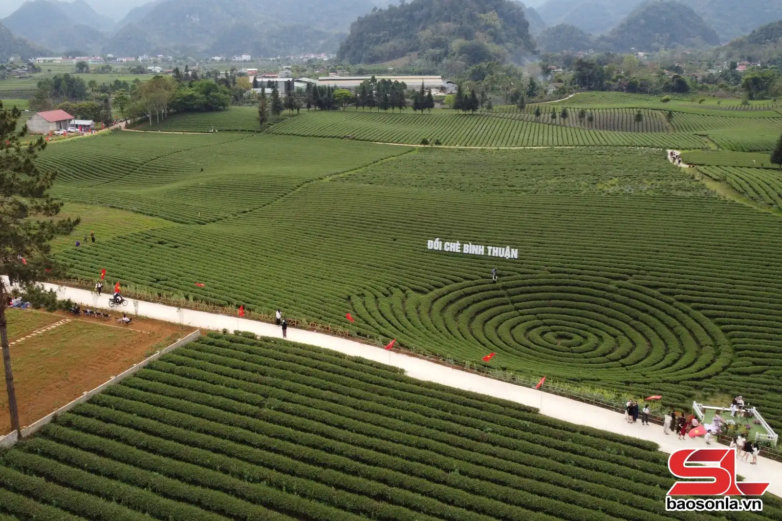 Nông nghiệp xanh gắn với du lịch dưới chân đèo Pha Đin