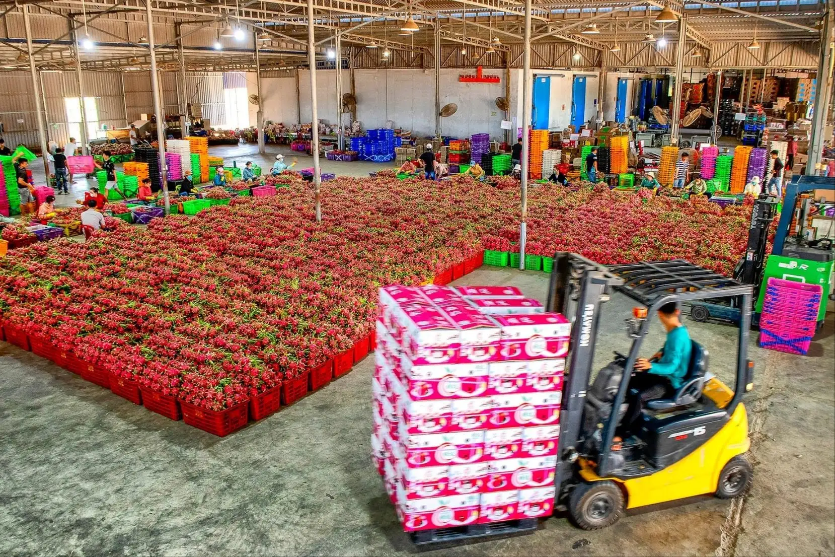 Nông sản rõ nguồn gốc – sự cam kết trách nhiệm