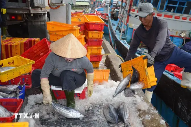 Nông sản Việt vươn xa hơn nhờ số hóa “lý lịch”