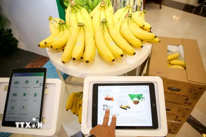 Nông sản Việt vươn xa hơn nhờ số hóa “lý lịch”