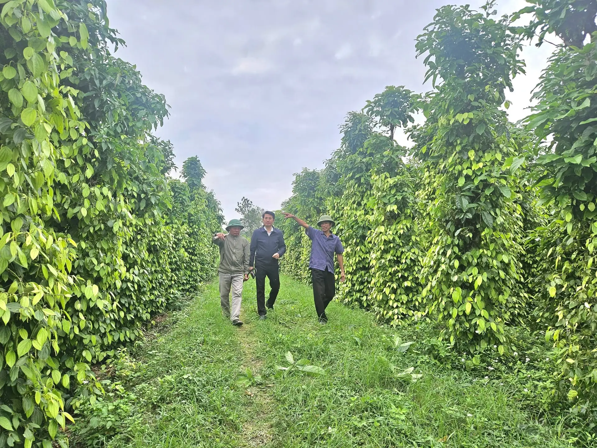 Nông thôn mới Quảng Trị: Tăng trưởng xanh, chuyển đổi số và khát vọng phát triển bền vững