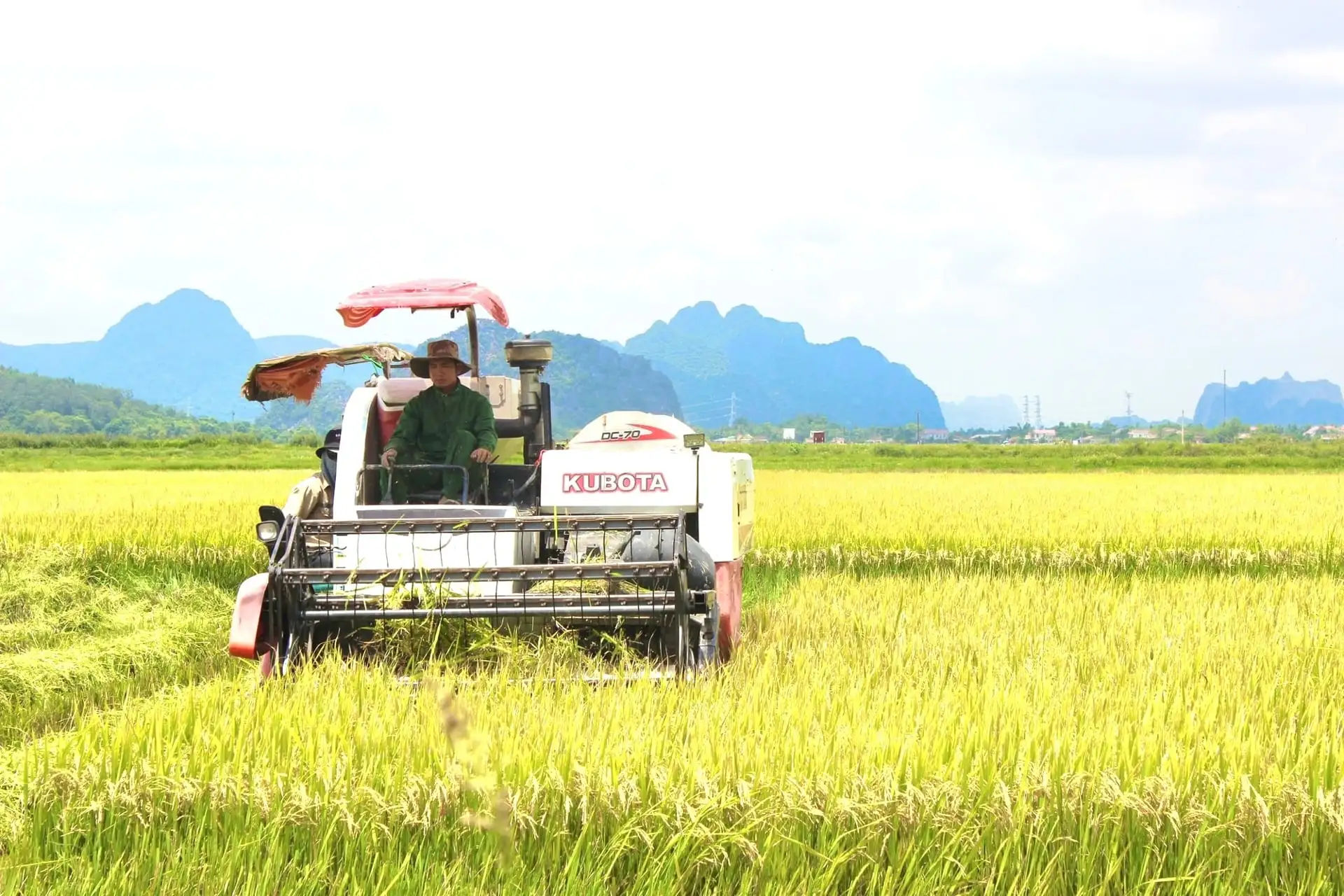 Nông thôn mới Quảng Trị: Tăng trưởng xanh, chuyển đổi số và khát vọng phát triển bền vững