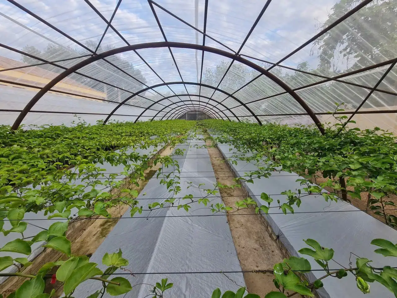 Nông thôn Tây Bắc: Gỡ “rào cản” trong xây dựng nông thôn mới sau sáp nhập ở Điện Biên