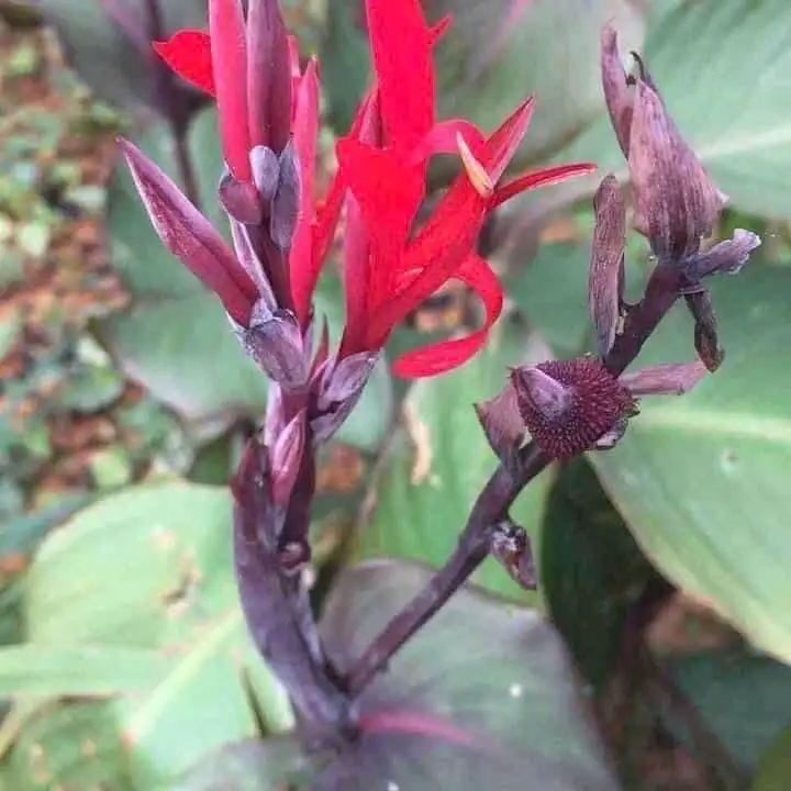 OCOP số hóa: Giữ bản sắc thế nào trên không gian số?