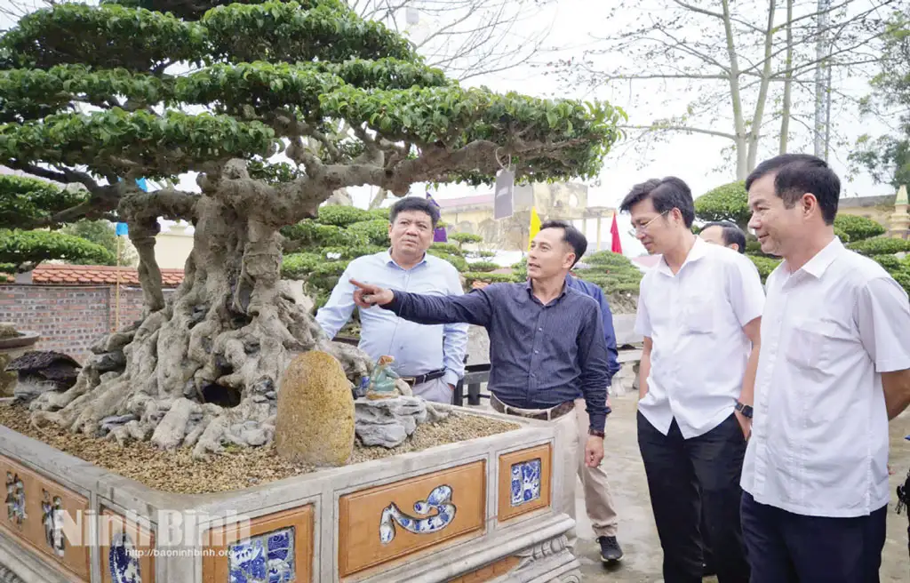 Phát huy vai trò cầu nối, hỗ trợ cho kinh tế tập thể phát triển