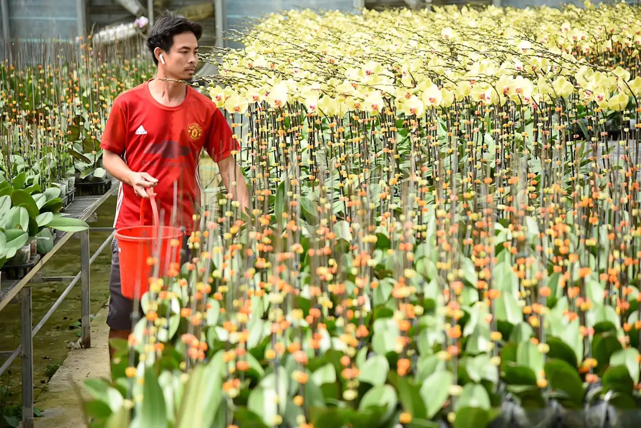 Phát huy vai trò cầu nối, thúc đẩy kinh tế tập thể phát triển bền vững