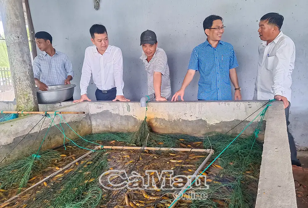 Phát triển bền vững từ kinh tế hộ gia đình