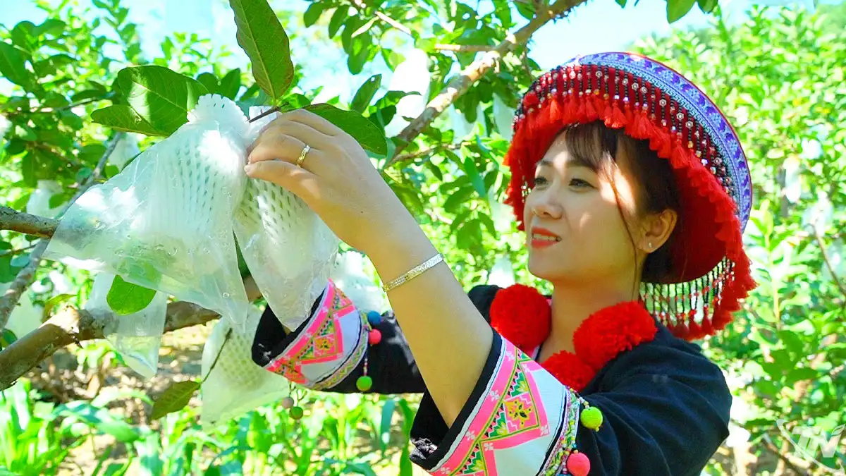 Phát triển du lịch cộng đồng từ bản sắc văn hóa