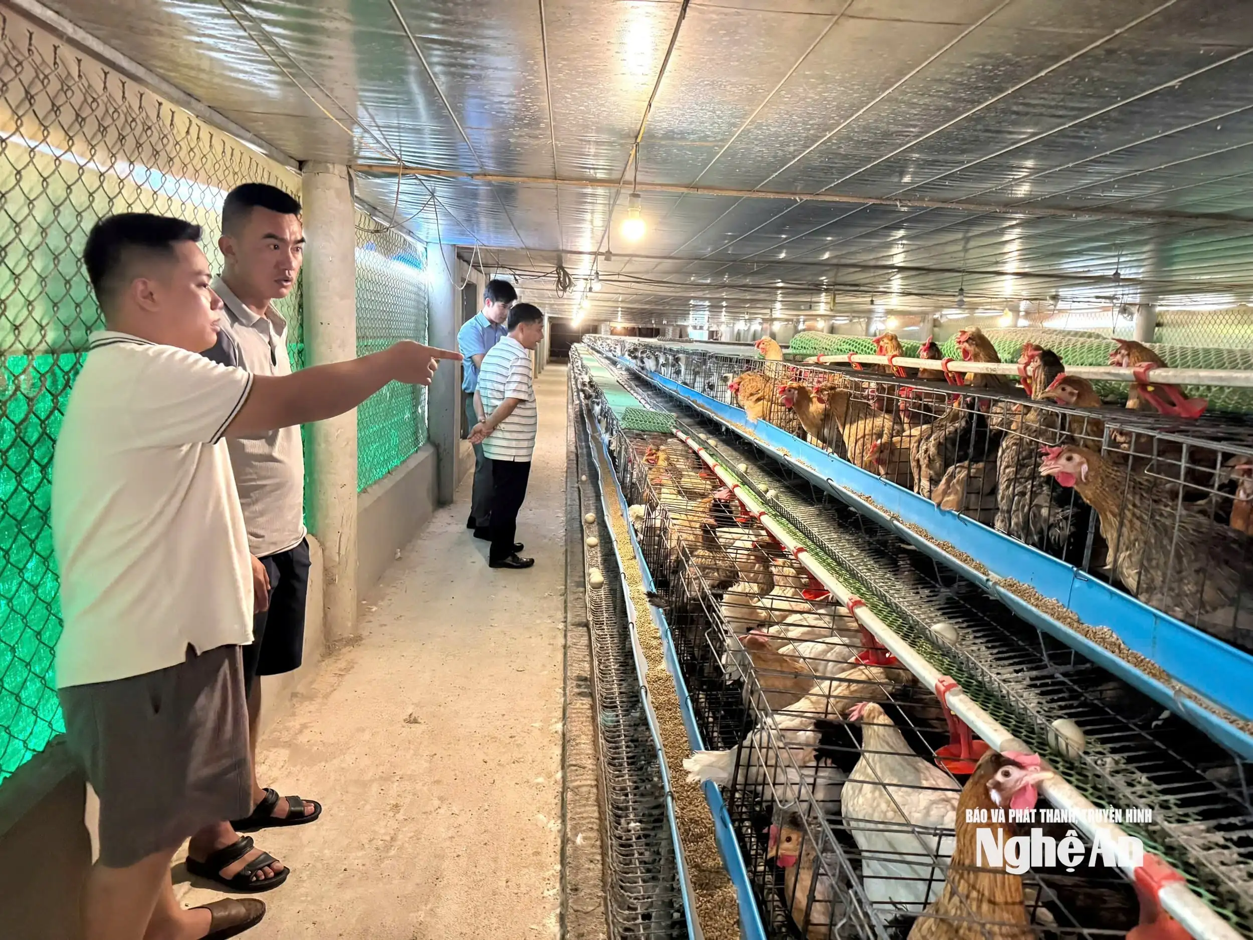 Phát triển khuyến nông “đòn bẩy” thúc đẩy chuỗi giá trị nông nghiệp bền vững