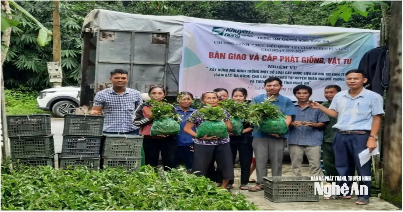 Phát triển khuyến nông “đòn bẩy” thúc đẩy chuỗi giá trị nông nghiệp bền vững