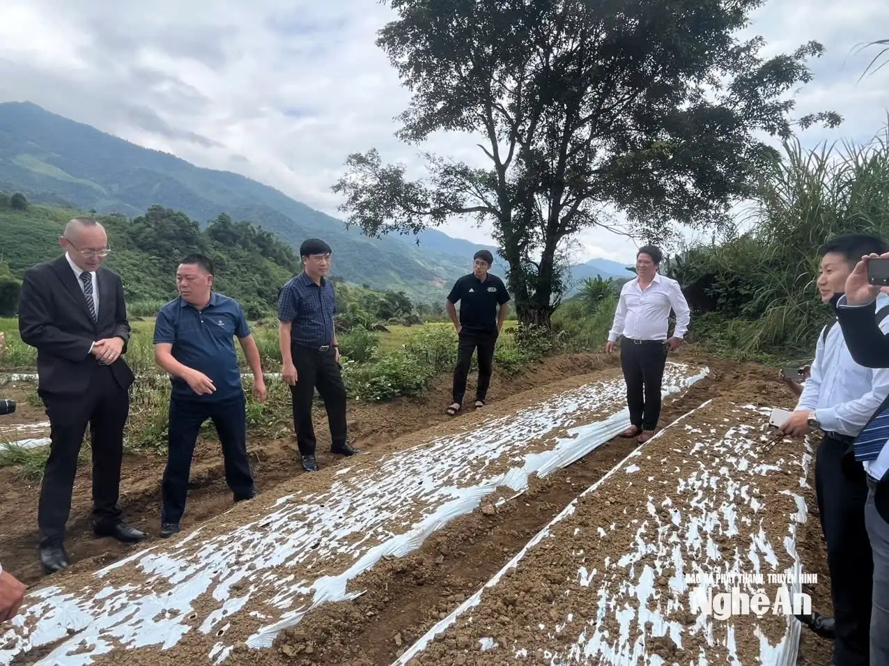 Phát triển khuyến nông “đòn bẩy” thúc đẩy chuỗi giá trị nông nghiệp bền vững