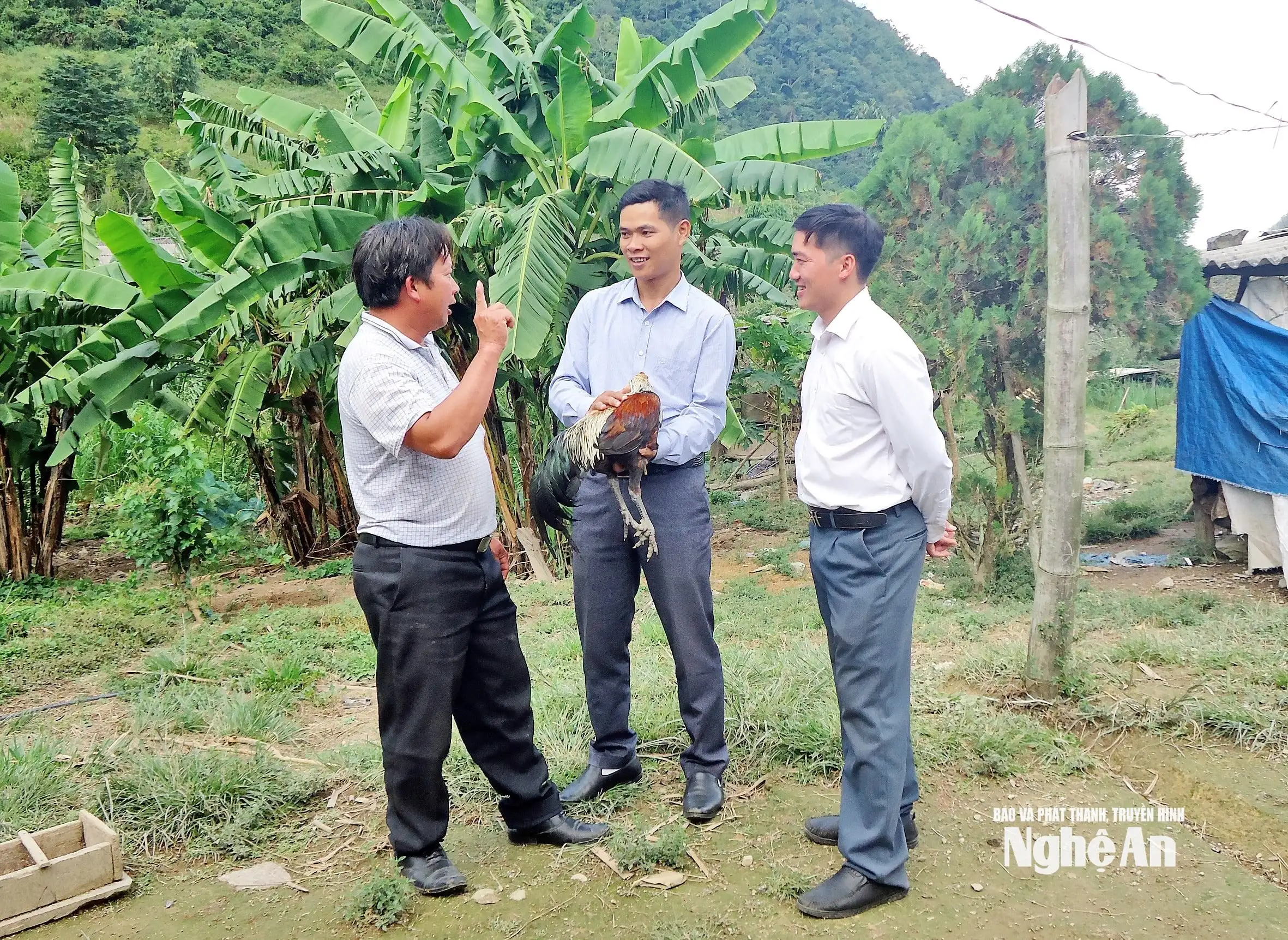 Phát triển khuyến nông “đòn bẩy” thúc đẩy chuỗi giá trị nông nghiệp bền vững