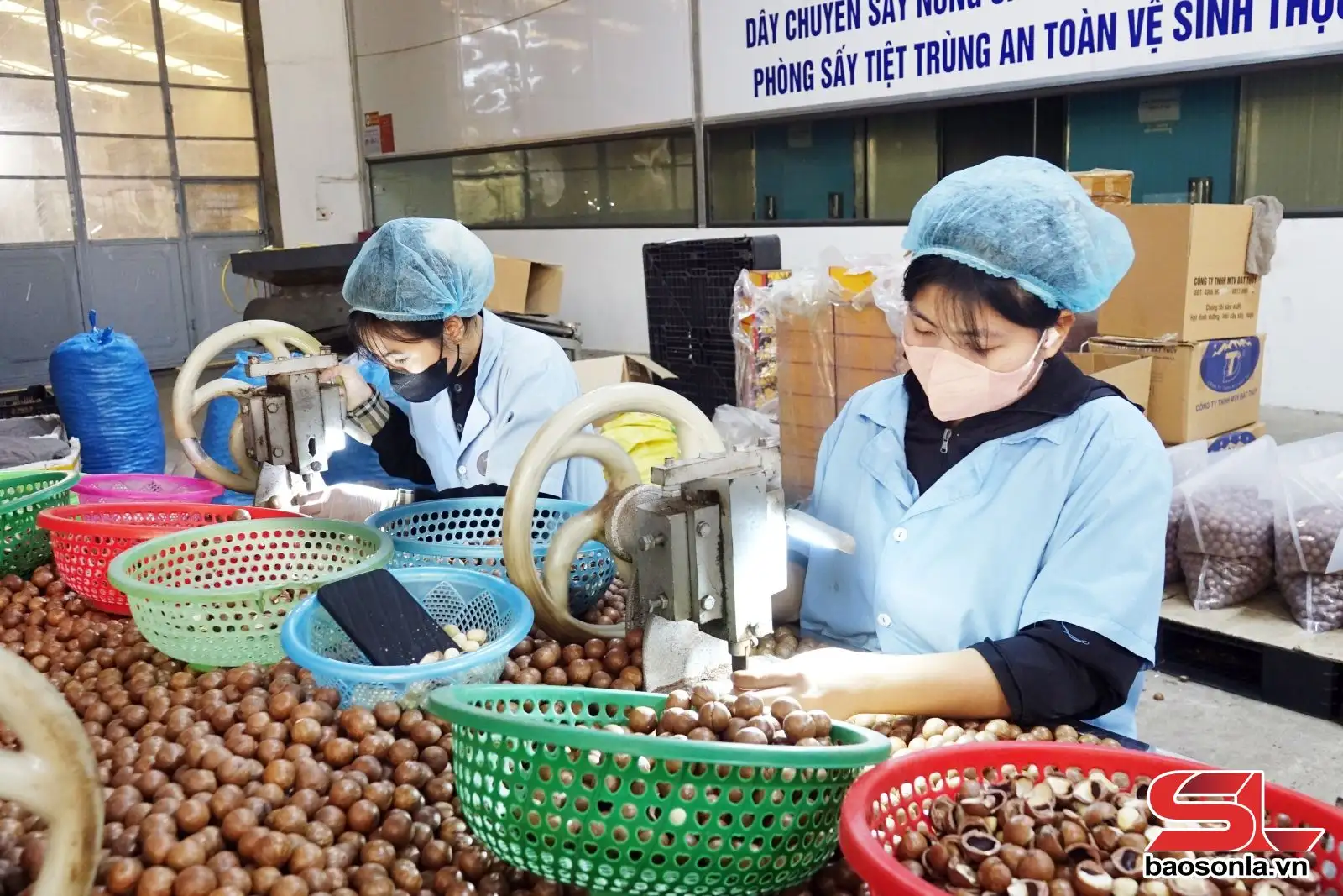 Phát triển sản phẩm OCOP gắn với xây dựng nông thôn mới