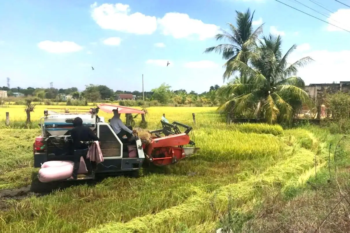 Phát triển sản xuất gắn với xây dựng nông thôn mới