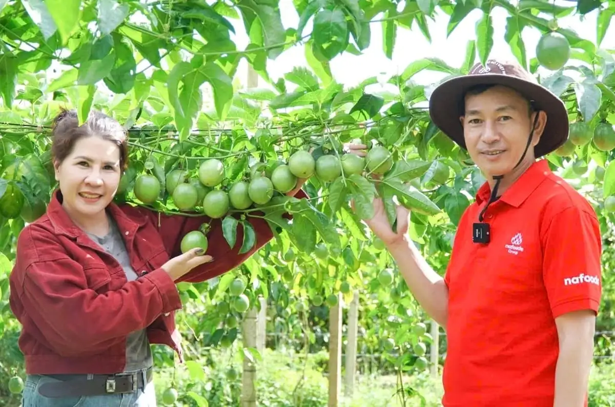 Phát triển vùng nguyên liệu bền vững các nông sản chủ lực