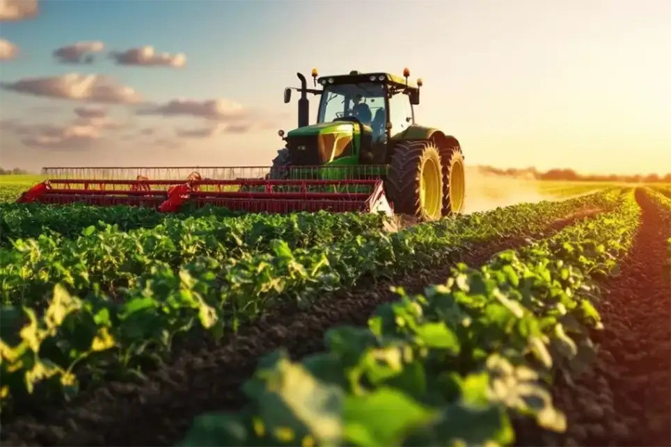 Phát triển vùng nguyên liệu sản xuất nhiên liệu sinh học bền vững