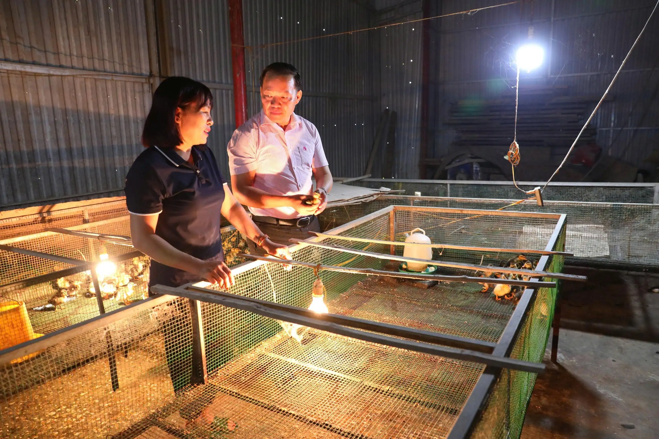 Phụ nữ “hai giỏi” mài đất ngọc để thoát nghèo