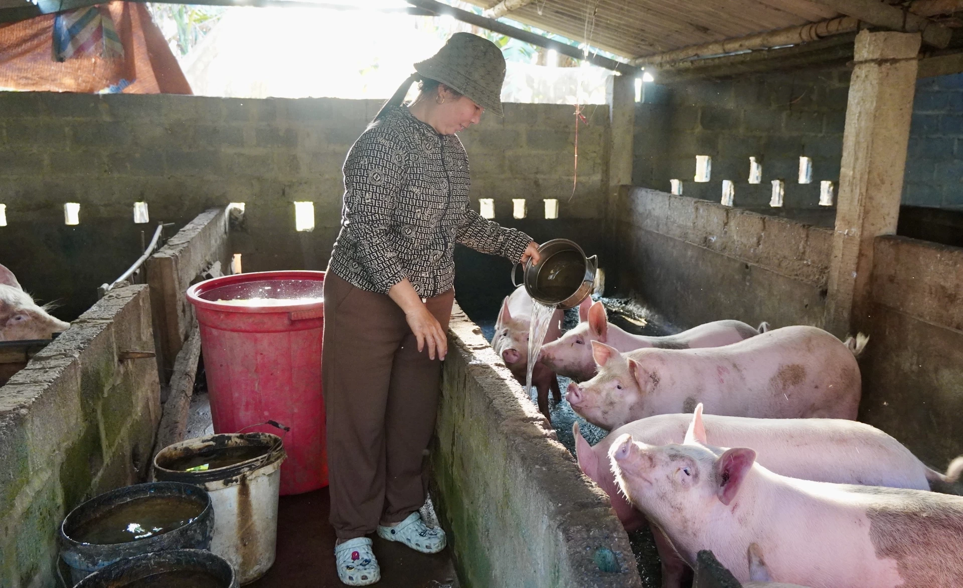 Phụ nữ Tân Mỹ giúp nhau phát triển kinh tế, giảm nghèo bền vững