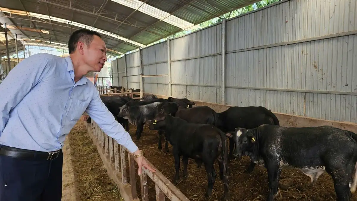 Phú Thọ với khát vọng nông nghiệp xanh, nông thôn phát triển, nông dân giàu có