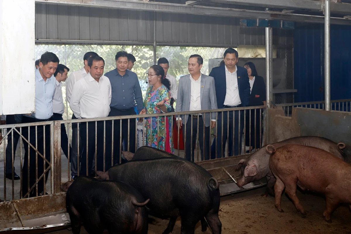 Phú Thọ với khát vọng nông nghiệp xanh, nông thôn phát triển, nông dân giàu có