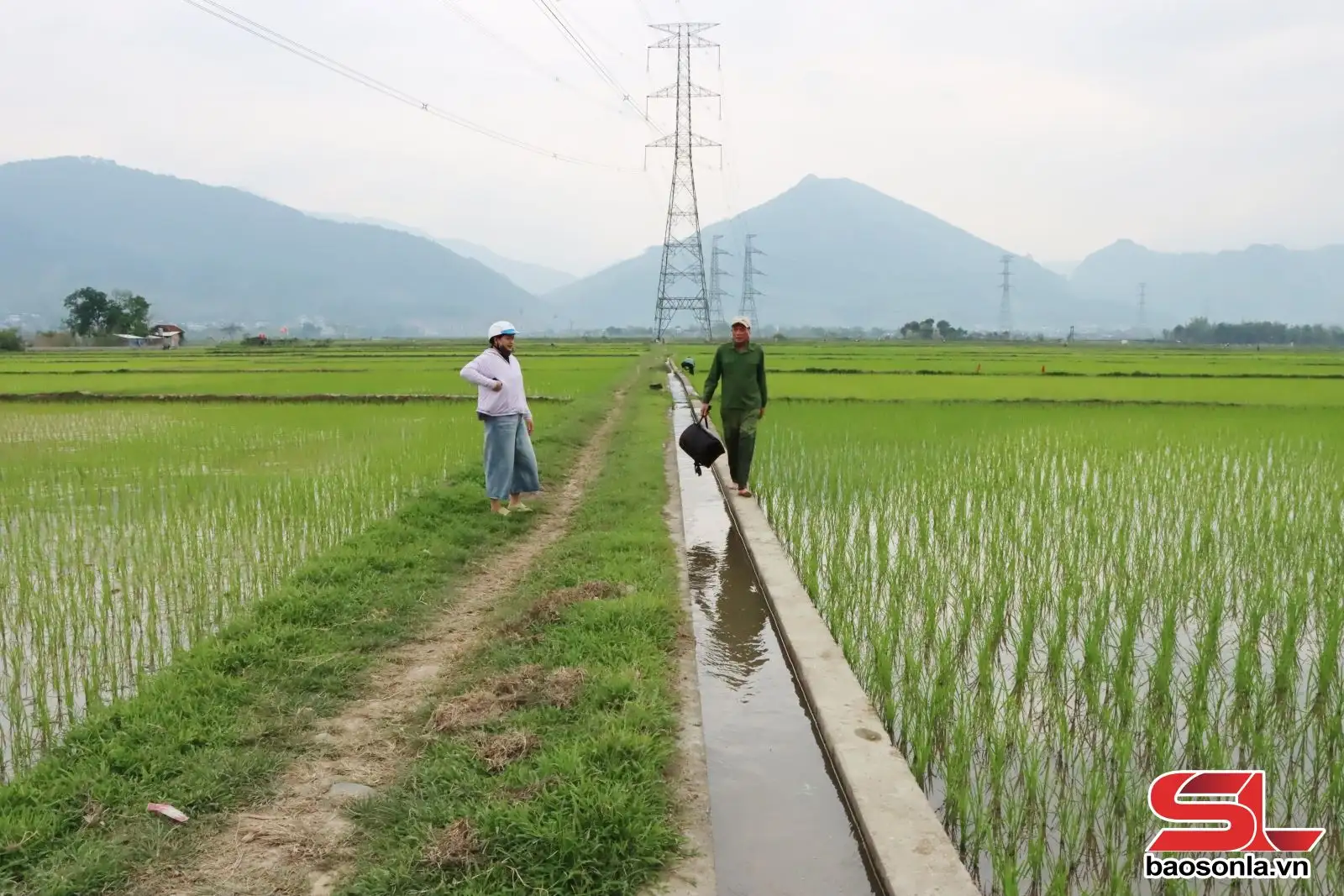 Phù Yên giữ chuẩn nông thôn mới