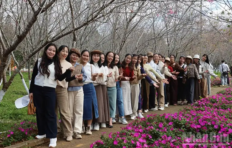 Quảng Ngãi: Phát triển các xã khu vực Măng Đen thành vùng du lịch sinh thái và nông nghiệp xứ lạnh