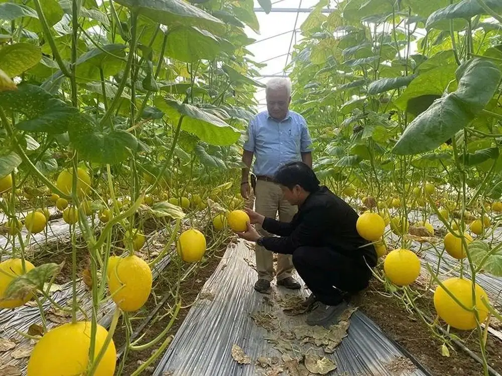 Quảng Ngọc quyết tâm vượt khó, xây dựng xã nông thôn mới nâng cao