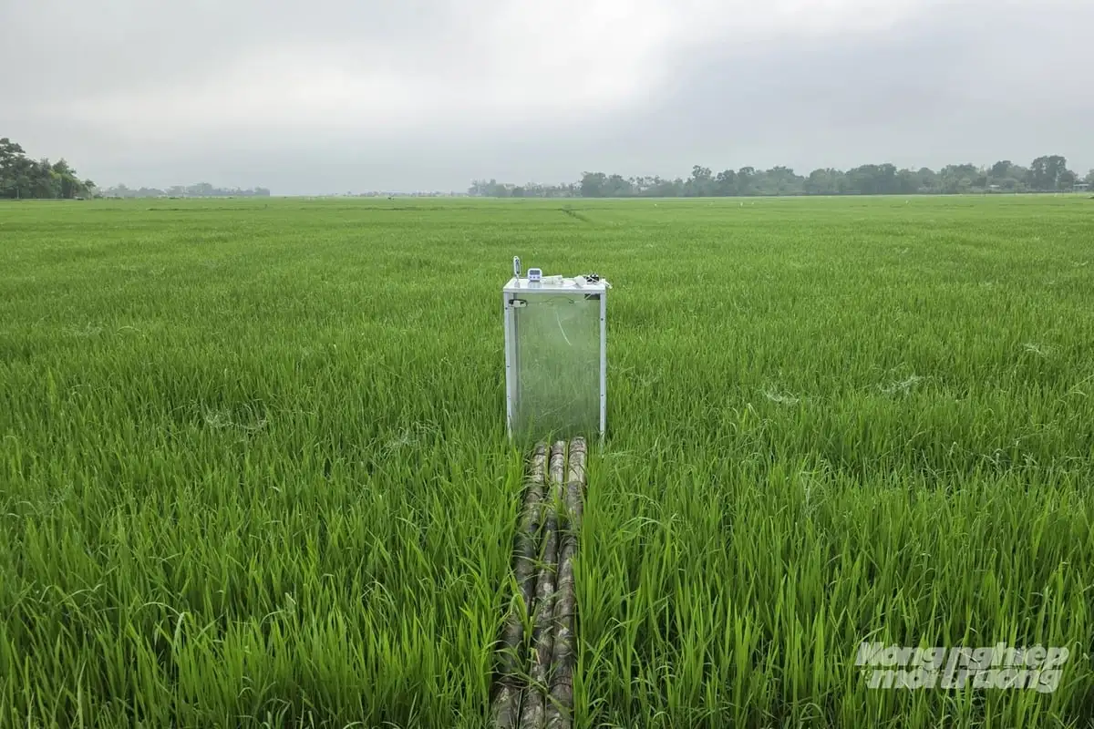 Quảng Trị phấn đấu 100% diện tích cây trồng chủ lực canh tác bền vững