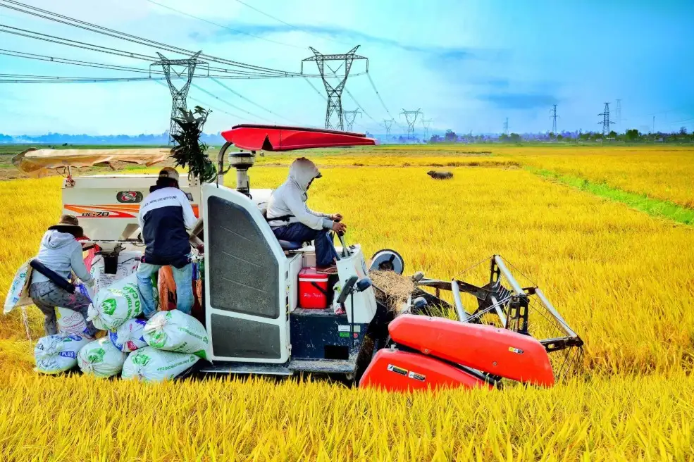 Quảng Trị thúc đẩy xây dựng nông thôn mới và giảm nghèo bền vững giai đoạn mới