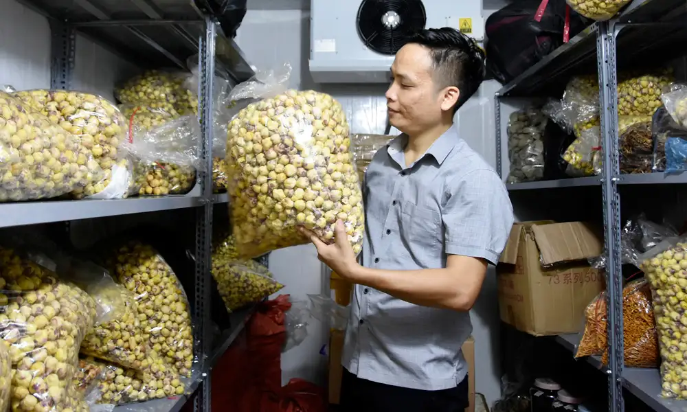 Quỹ Hỗ trợ phát triển hợp tác xã: Điểm tựa vốn cho kinh tế tập thể