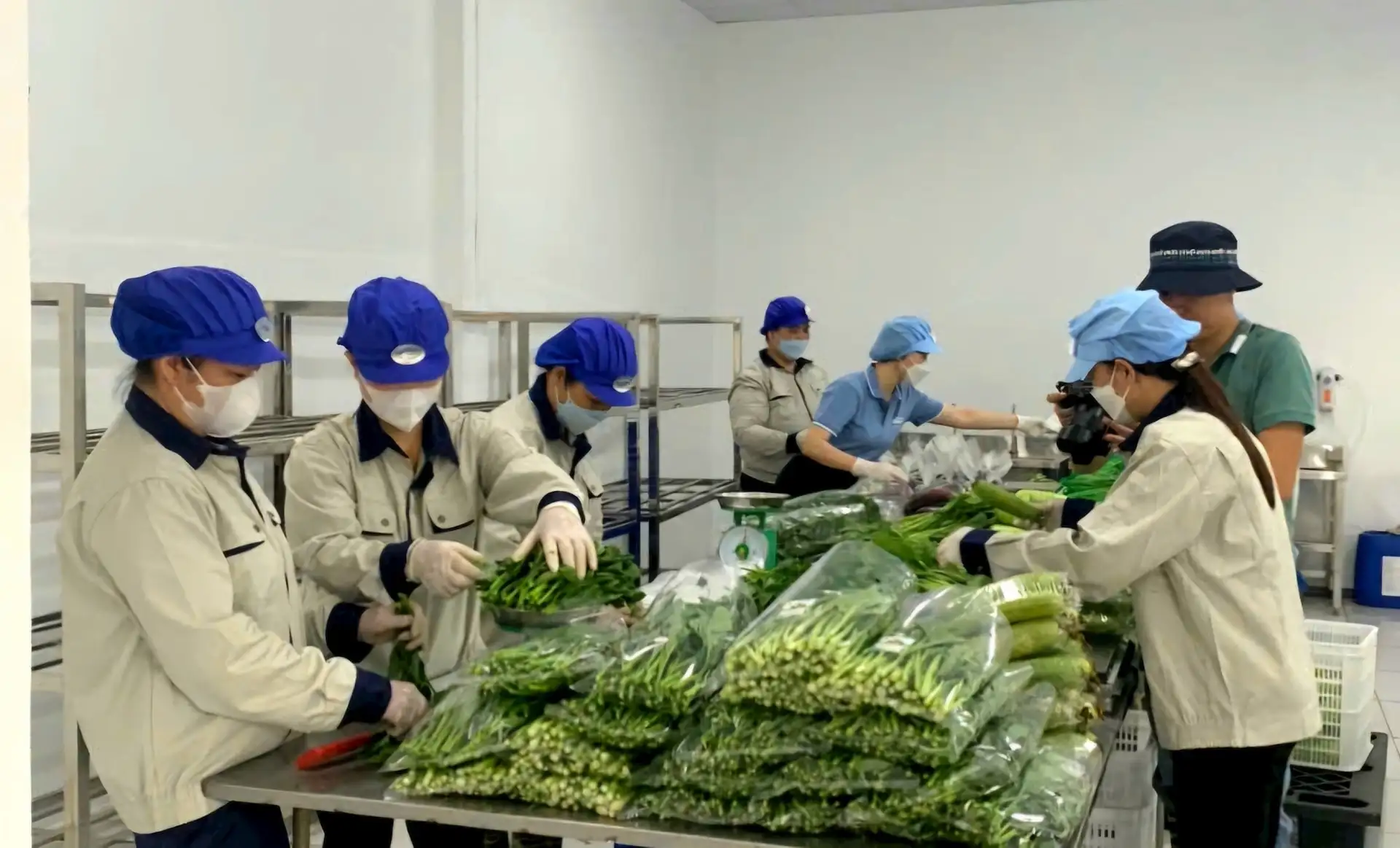 Rau Văn Đức: Hành trình nông nghiệp xanh giữa lòng Hà Nội