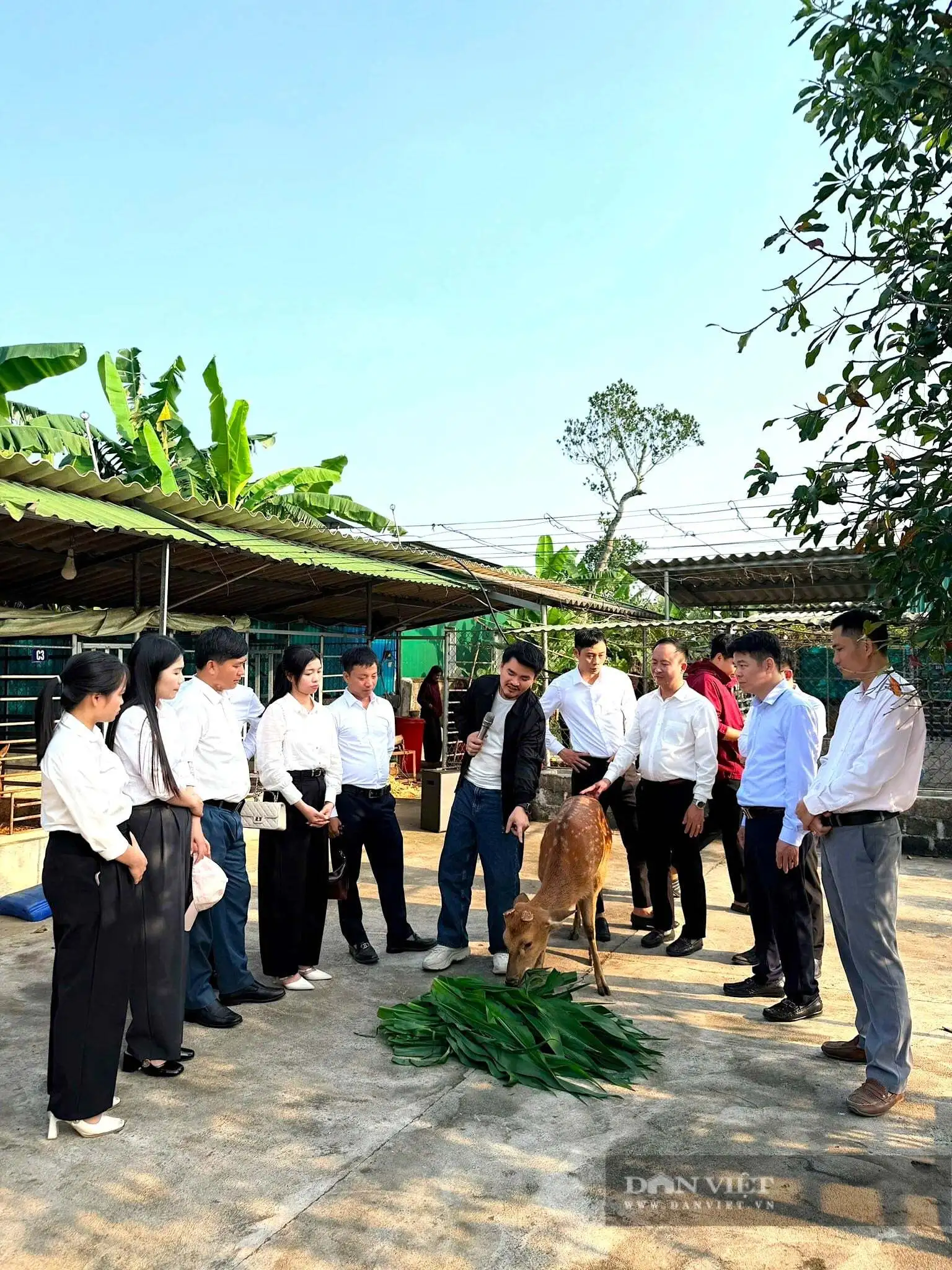 Sản phẩm đạt chuẩn 4 sao OCOP ở Hà Tĩnh, cầm chắc “tấm vé thông hành” ra “chợ quốc gia”