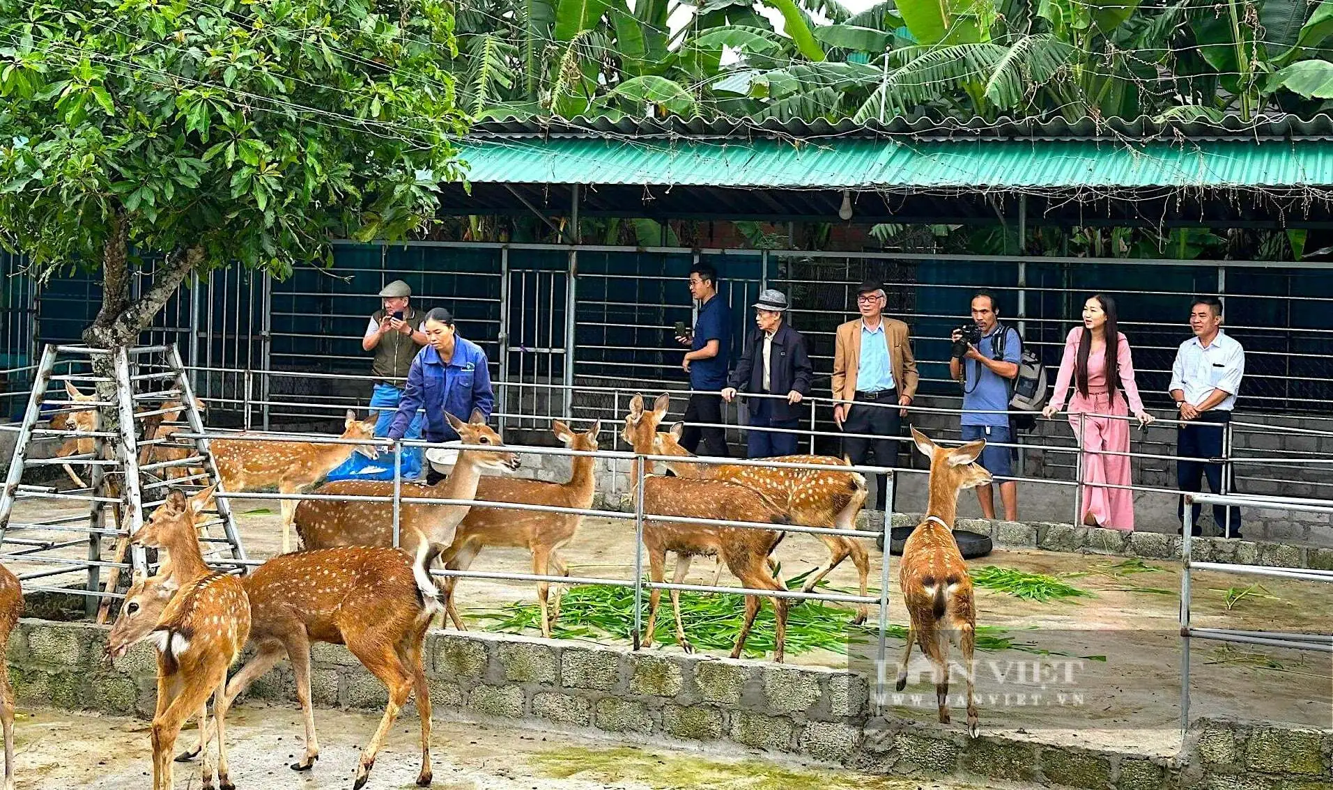 Sản phẩm đạt chuẩn 4 sao OCOP ở Hà Tĩnh, cầm chắc “tấm vé thông hành” ra “chợ quốc gia”